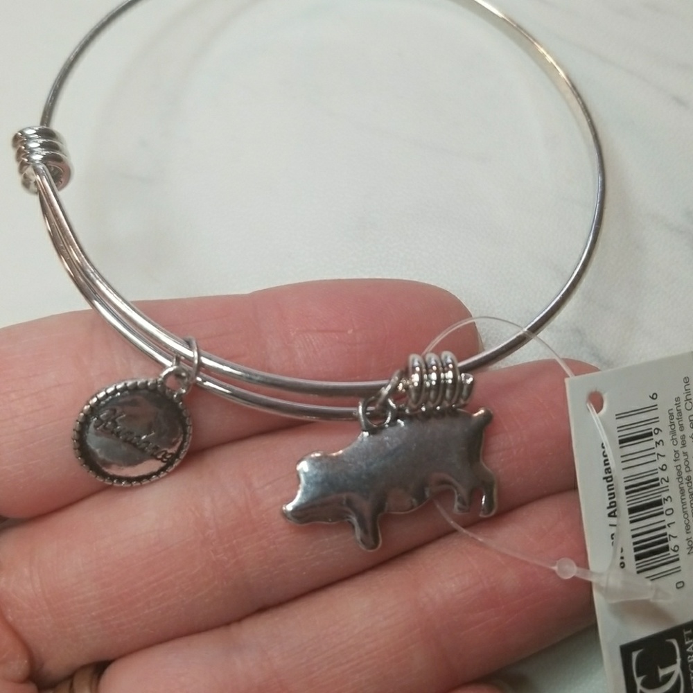Abundance Pig Silver Color Expandable Bracelet - Picture 3 of 6